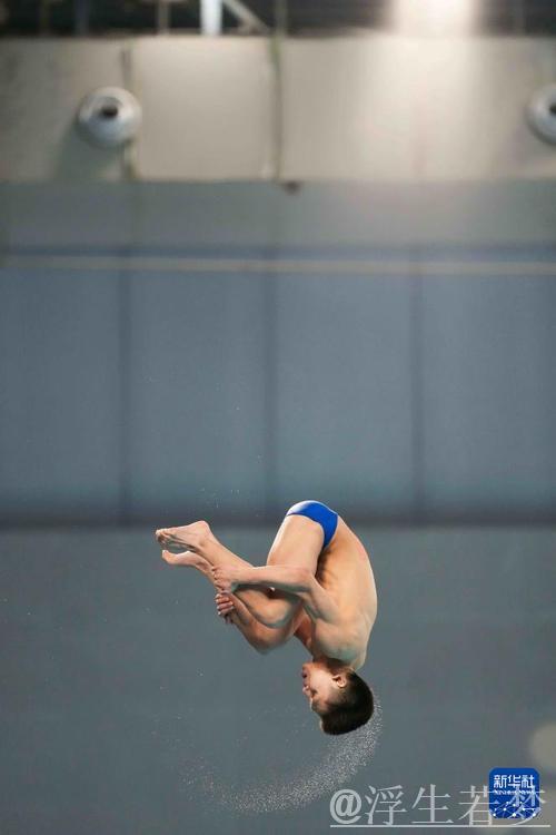 跳水世界杯总决赛：男子10米台精彩角逐